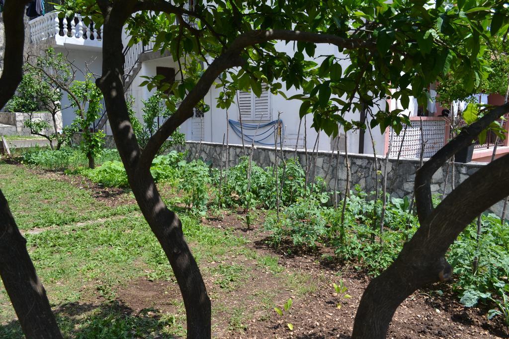 Apartments Villa Marta - Begovic 科托尔 外观 照片
